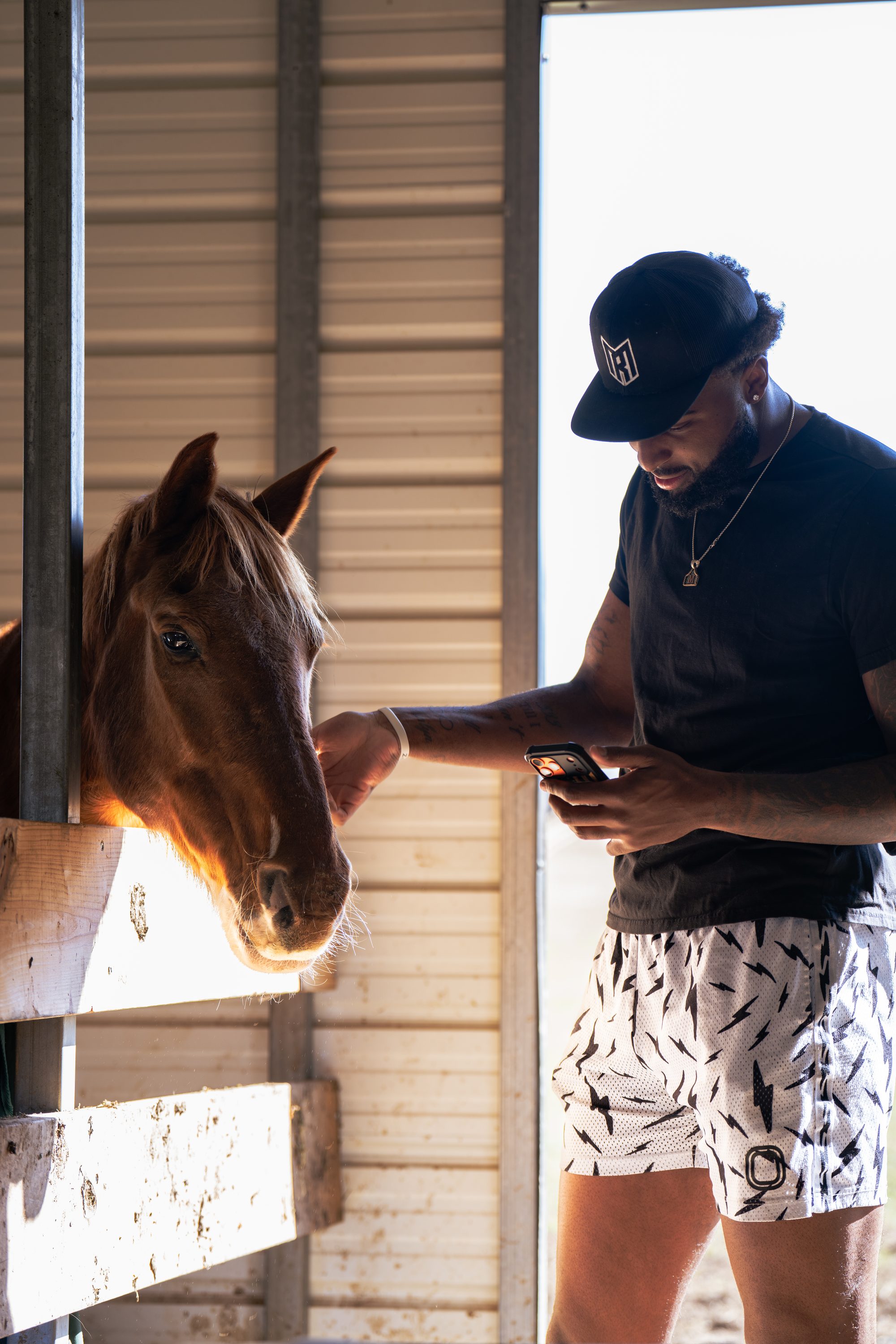 All-Star break horse shoot editorial image